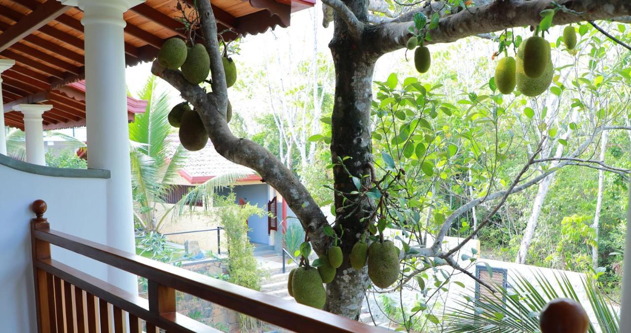 Terrace Garden Ayurveda Resort Weligama Dış mekan fotoğraf