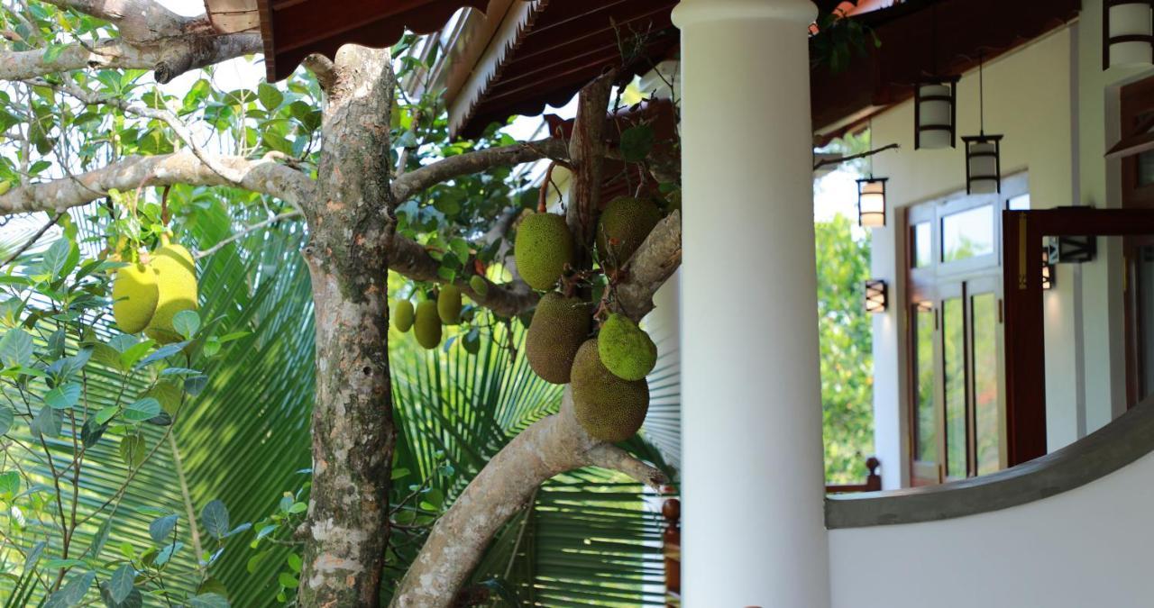 Terrace Garden Ayurveda Resort Weligama Dış mekan fotoğraf