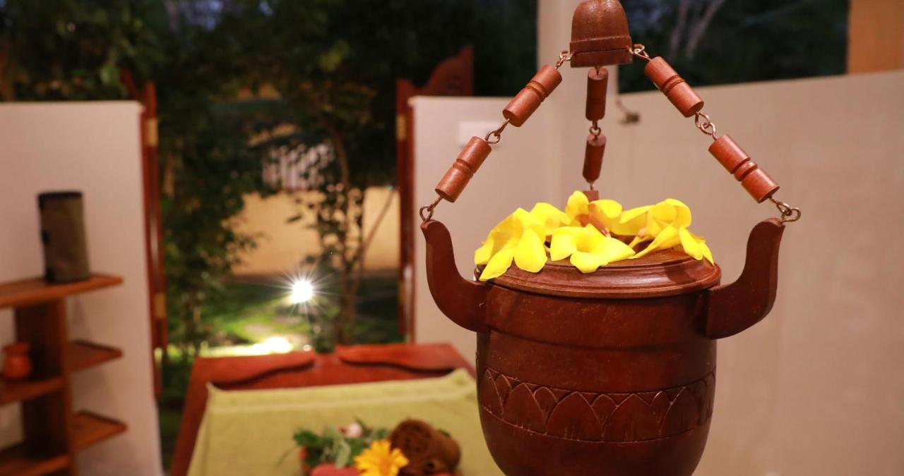 Terrace Garden Ayurveda Resort Weligama Dış mekan fotoğraf