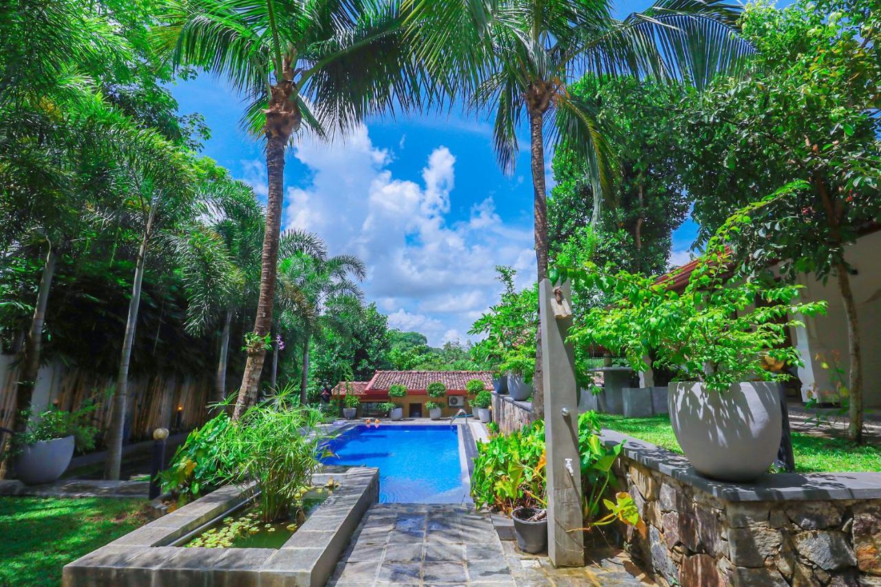 Terrace Garden Ayurveda Resort Weligama Dış mekan fotoğraf