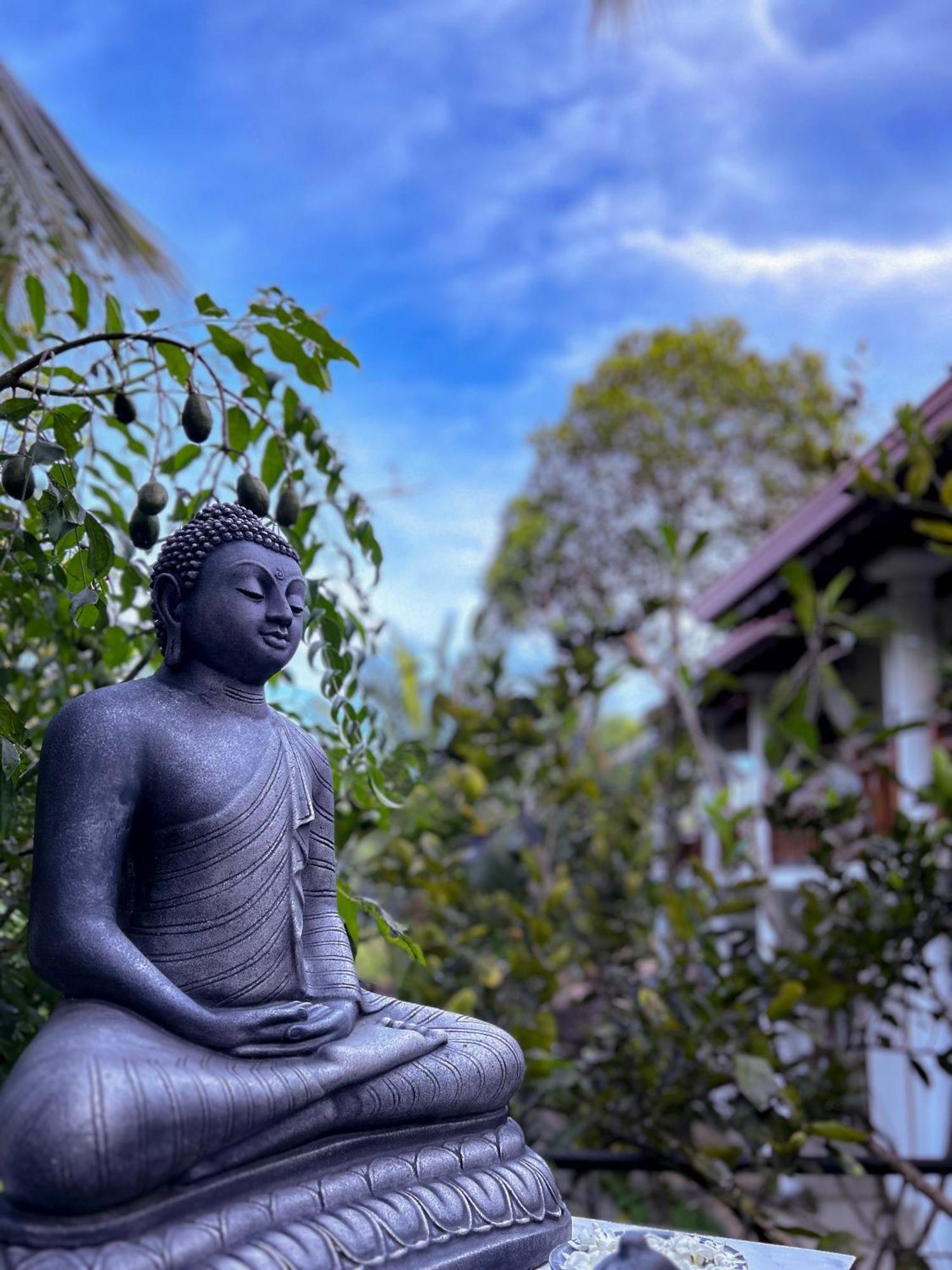 Terrace Garden Ayurveda Resort Weligama Dış mekan fotoğraf