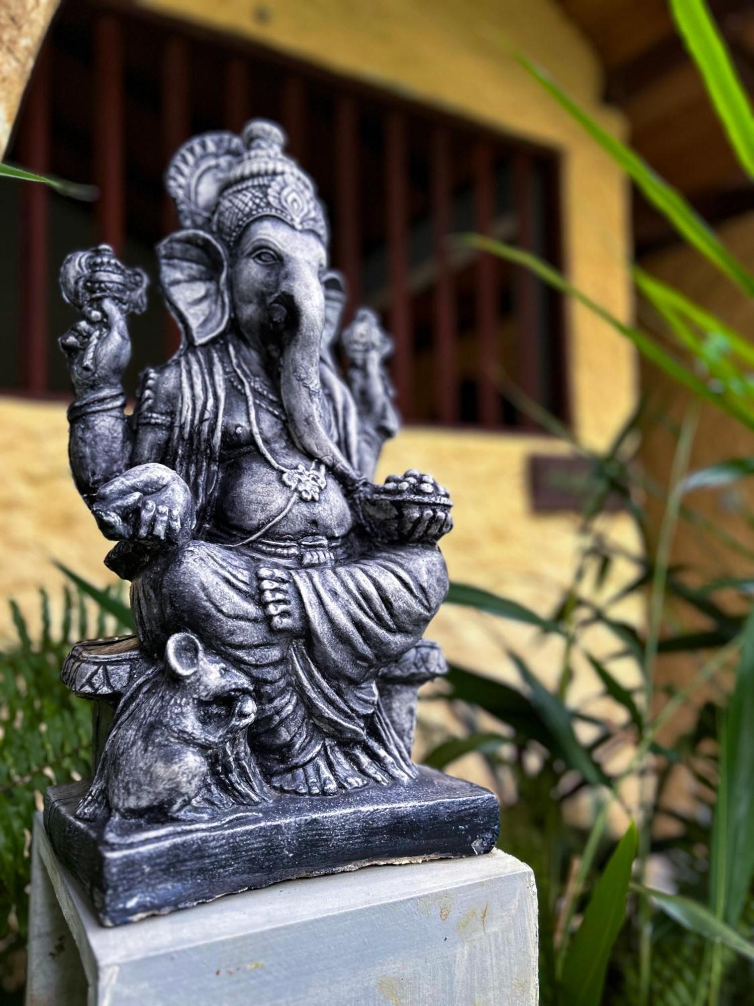 Terrace Garden Ayurveda Resort Weligama Dış mekan fotoğraf
