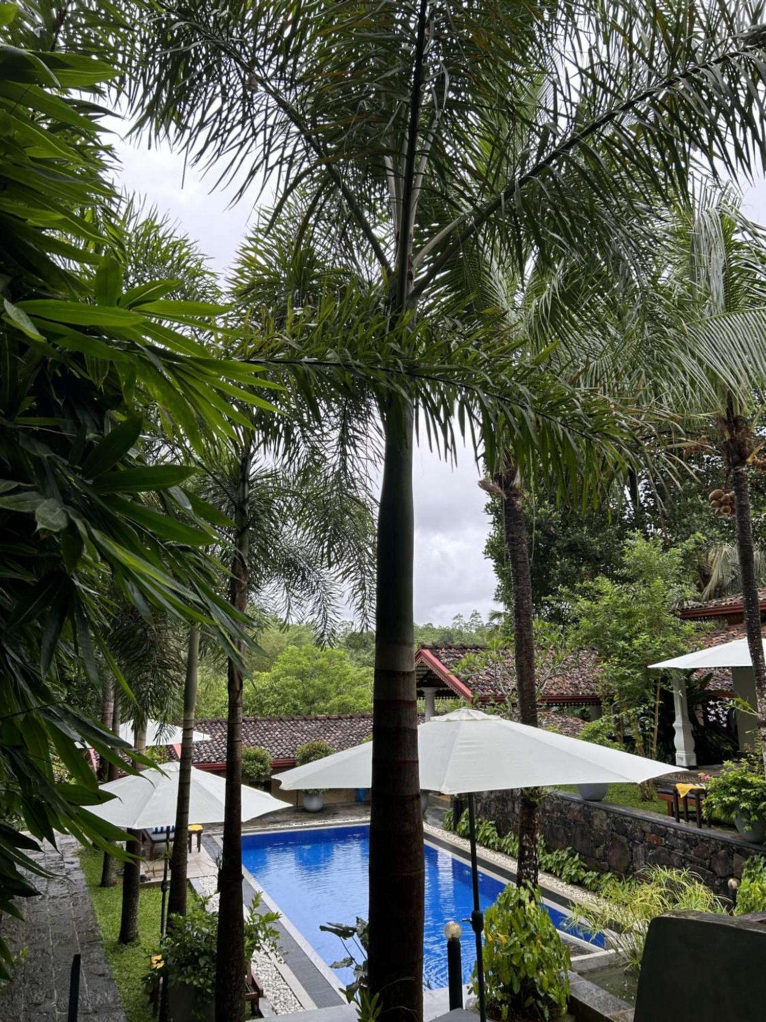 Terrace Garden Ayurveda Resort Weligama Dış mekan fotoğraf