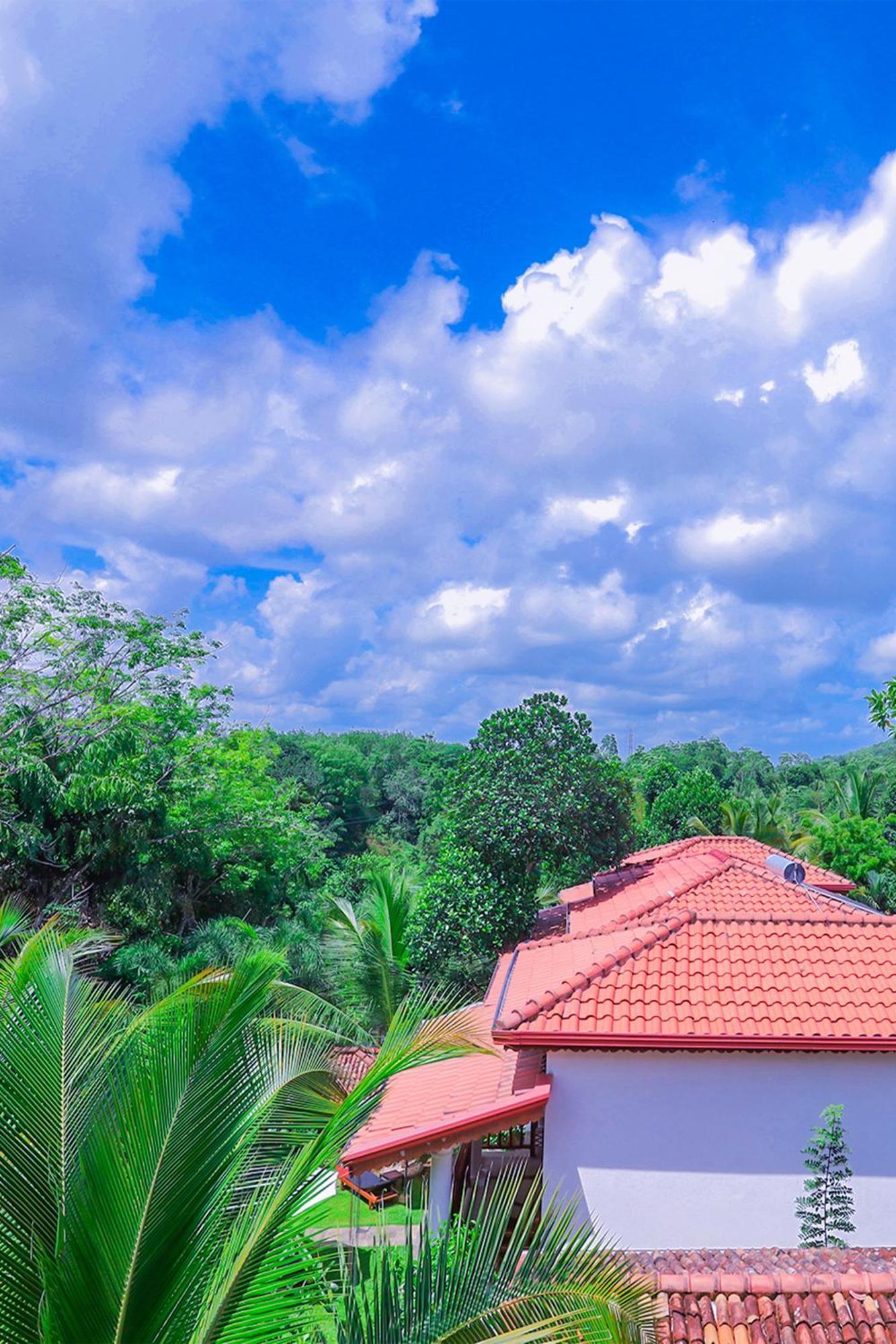 Terrace Garden Ayurveda Resort Weligama Dış mekan fotoğraf